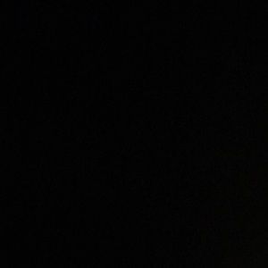 Meet your Posher, Lilly